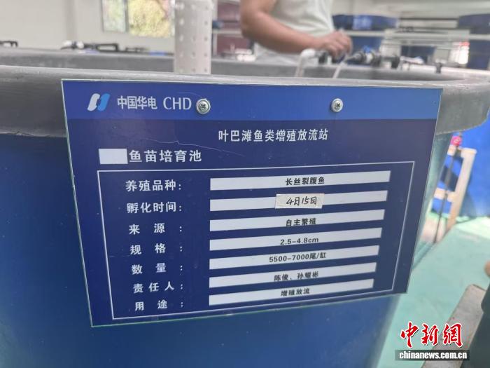 kaiyun3专注便捷的在线咨询服务,随时解答您的疑问,为用户提供专业可靠的体验。 - kaiyun3